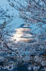 2021国产麻豆剧传媒视频-2021国产麻豆剧传媒视频，探索影视产业发展新浪潮