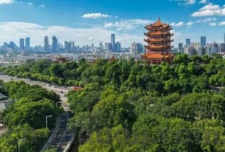 麻豆app下载网站-揭秘麻豆APP——一个充满争议的下载网站
