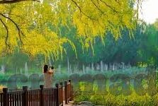 糖心直播app苹果下载-糖心直播，解锁精彩，苹果设备的娱乐新体验