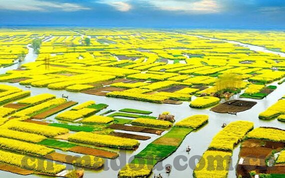 在线一区二区-探索在线一区二区的多元化应用与影响